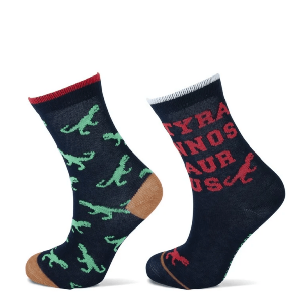 Kindersocken aus Baumwolle mit Dino-Aufdruck