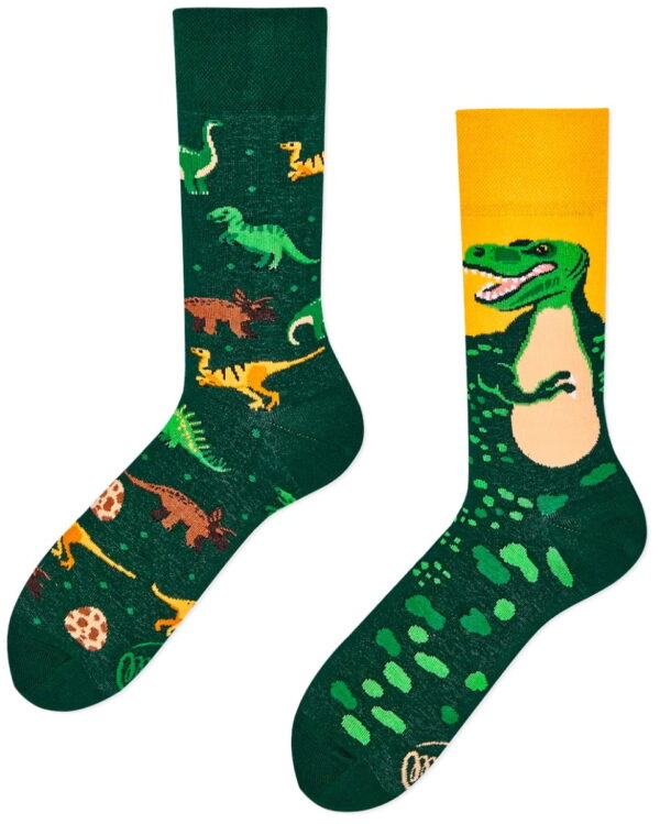 SOKKEN-ONLINE | The Dinosaurus sokken-39/42 | Many Mornings
