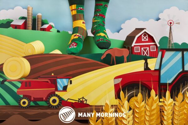 Happy Harvest Socken – Bild 2