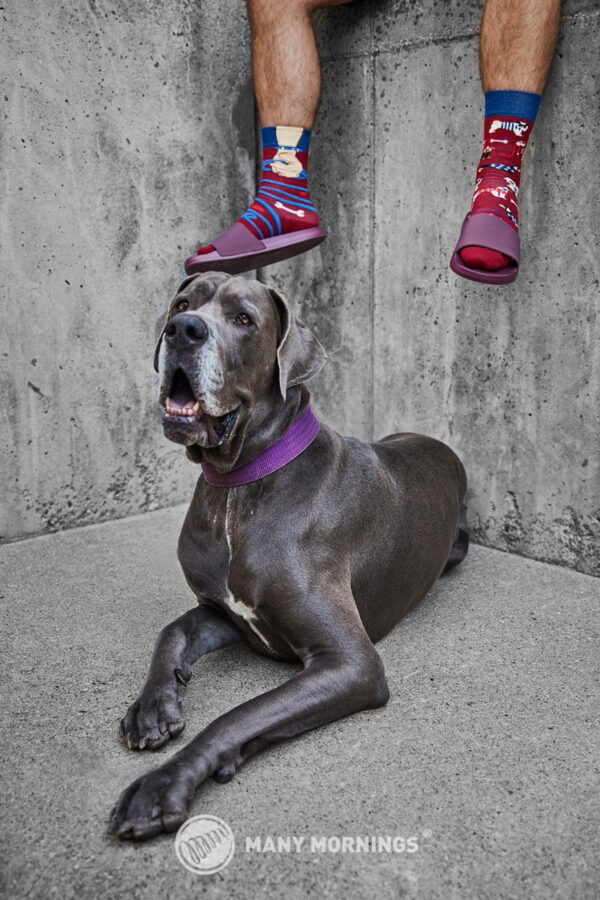 Walkie Doggy Socken – Bild 2