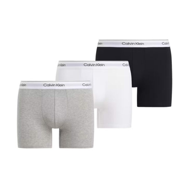Herren-Boxershorts ICON Brief – 3er-Set